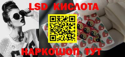 Альфа ПВП Краснознаменск