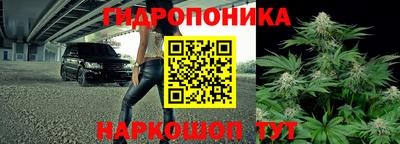 Альфа ПВП Краснознаменск