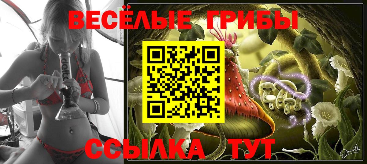 Галлюциногенные грибы ЛСД Кольчугино
